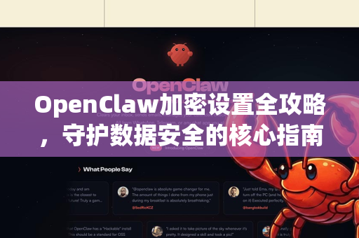 OpenClaw加密设置全攻略，守护数据安全的核心指南
