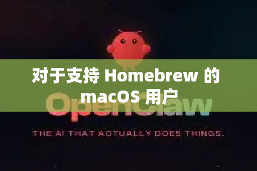 对于支持 Homebrew 的 macOS 用户