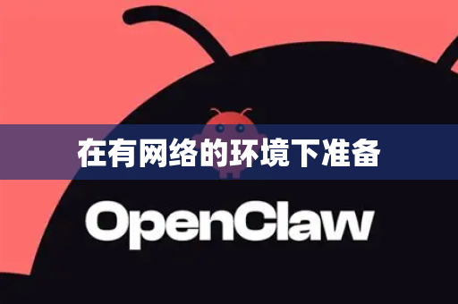 在有网络的环境下准备