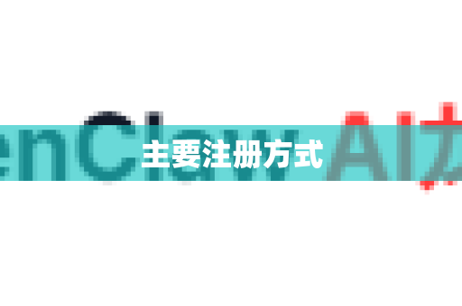 主要注册方式