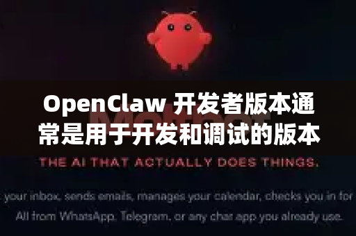 OpenClaw 开发者版本通常是用于开发和调试的版本。以下是一些关键信息