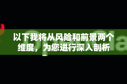 以下我将从风险和前景两个维度，为您进行深入剖析