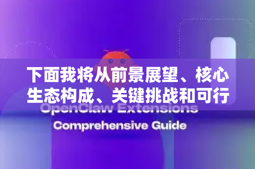 下面我将从前景展望、核心生态构成、关键挑战和可行路径几个维度进行深入分析