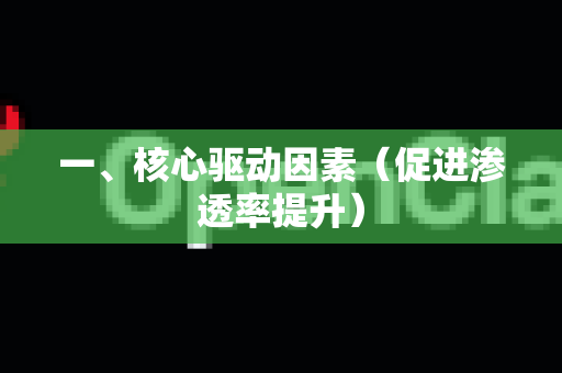 一、核心驱动因素（促进渗透率提升）