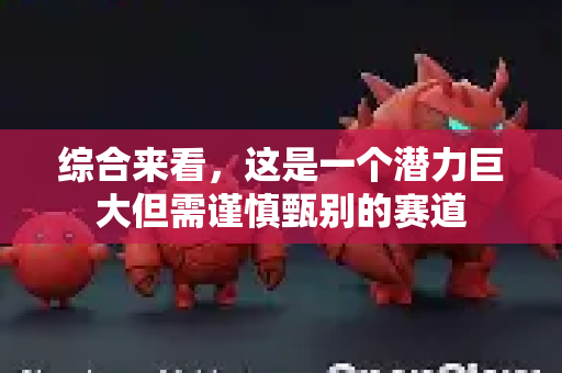 综合来看，这是一个潜力巨大但需谨慎甄别的赛道